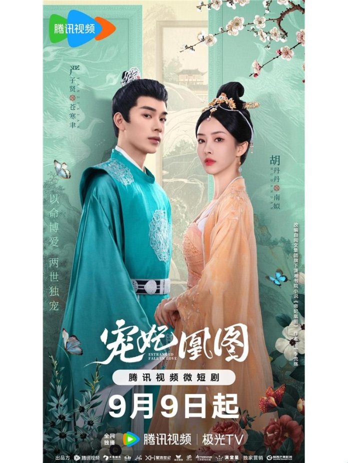 2025年3月：为什么“宠妃进化论”让现代职场女性直呼内行？
