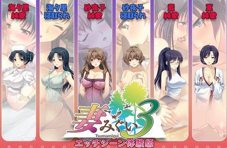 妻中蜜3蓝线真结局藏着多少反套路？这份硬核攻略藏着三个隐藏开关