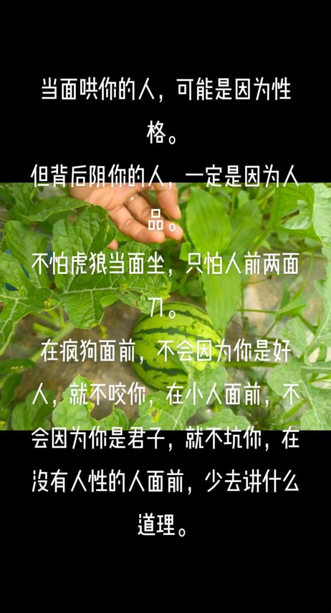 2025数据主权危机深度解析：实战验证的智能终端防护方案