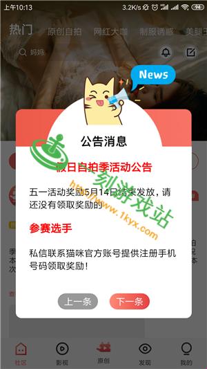 2025新猫奴必看！官方社区竟藏「量子吸猫术」？网友直呼这操作像在微波炉里种仙人掌
