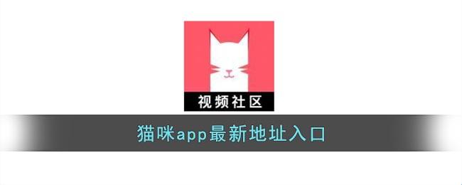2025新猫奴必看！官方社区竟藏「量子吸猫术」？网友直呼这操作像在微波炉里种仙人掌