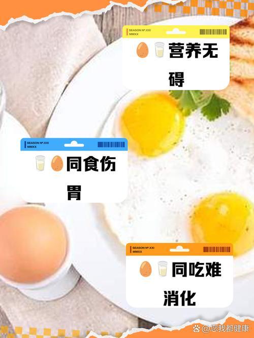 乳制品与禽畜内脏同食的消化安全科技解构