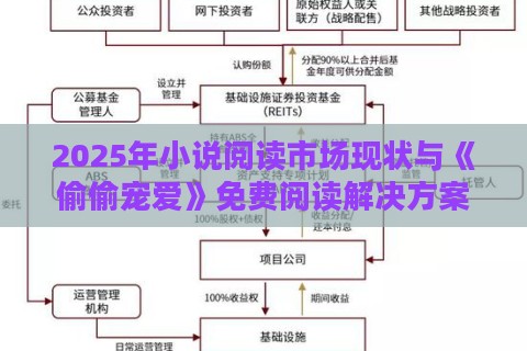 2025年小说阅读市场现状与《偷偷宠爱》免费阅读解决方案
