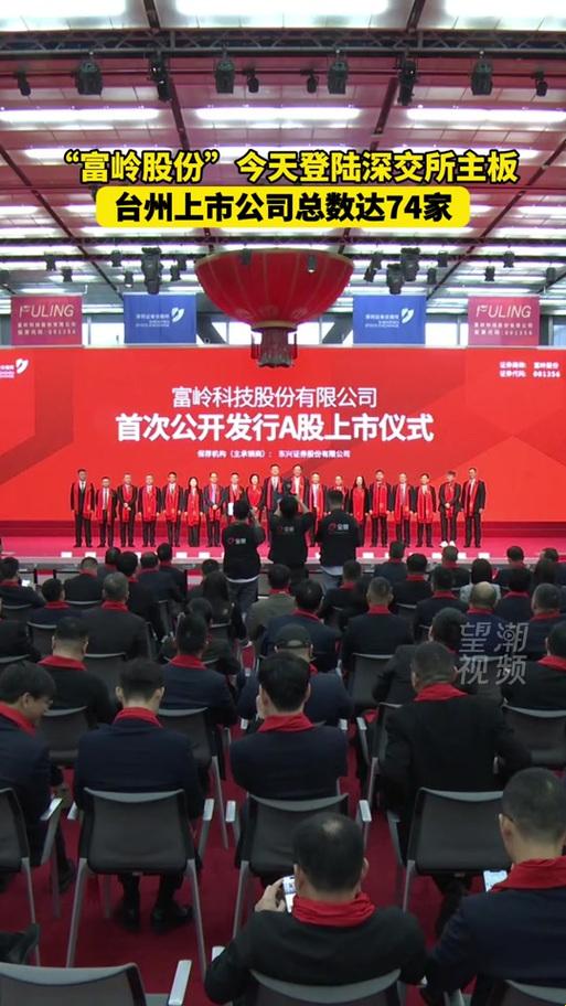 2025年富岭股份与deepseek关系大揭秘：投资传闻背后藏着哪些ai新玩法？