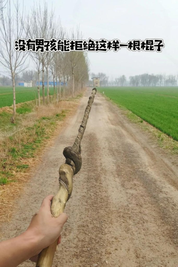 你裤子里的那根棍子，藏着哪些科技秘密？