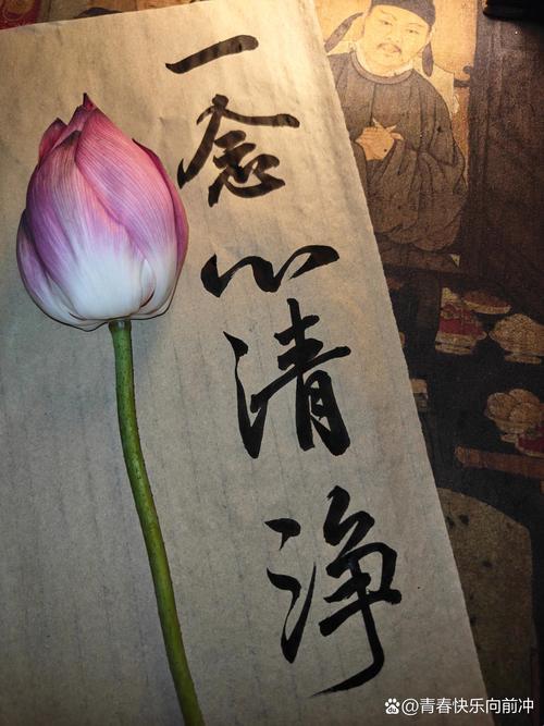 如何在信息洪流中保持“佛家清心”？深度解析与实用攻略