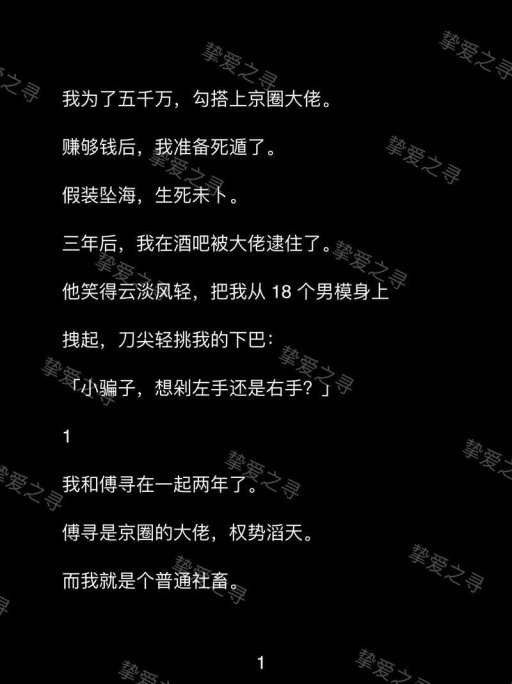 2025年文学ip数据合规难题深度解析：基于《占有欲(糙汉文)作者:书香》的实战验证方案