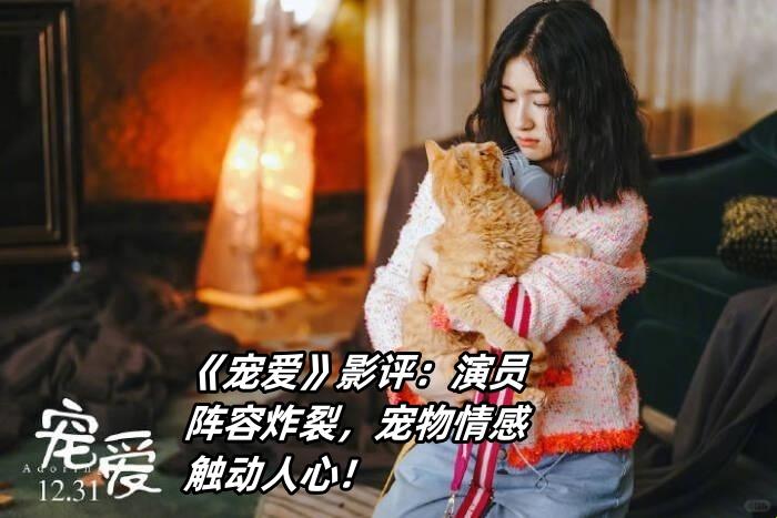 4月新说法！宠爱之余的宠物科技竟被网友怒怼“伪需求”？