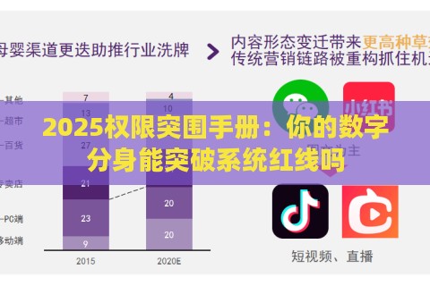 2025权限突围手册：你的数字分身能突破系统红线吗