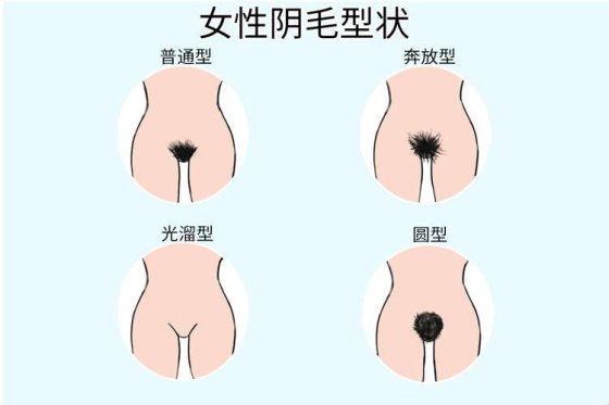 新趋势！欧洲女性下面毛发管理竟成2025热门话题？网友直呼意外