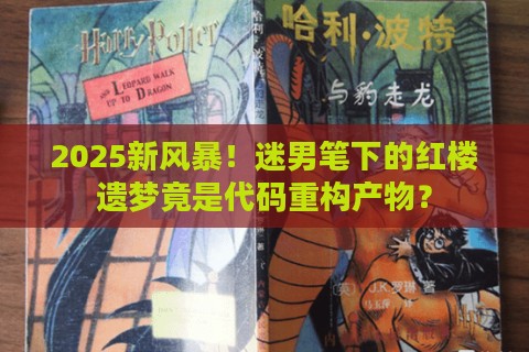 2025新风暴！迷男笔下的红楼遗梦竟是代码重构产物？
