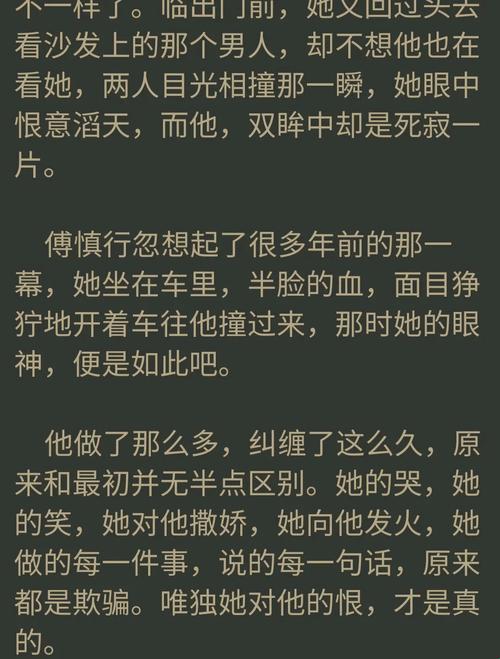 2025年数字阅读场景下《掌中之物原著小说在哪里看》的深度解析