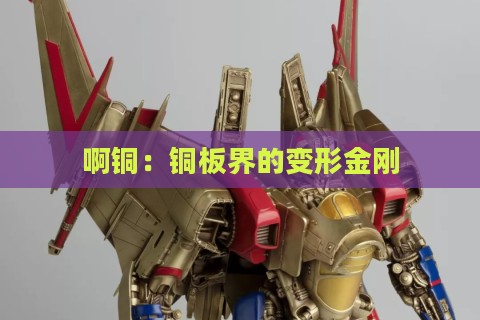 啊铜：铜板界的变形金刚