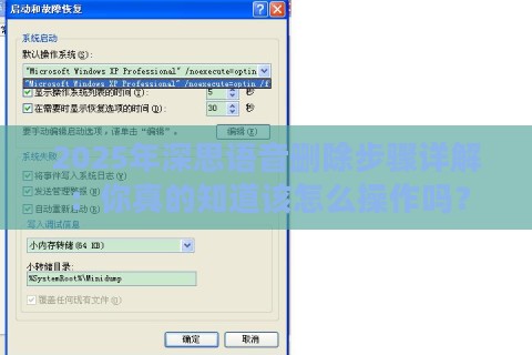 2025年深思语音删除步骤详解：你真的知道该怎么操作吗？