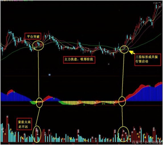 2025长阳重炮三大指标避坑指南：网友直呼别再踩坑！