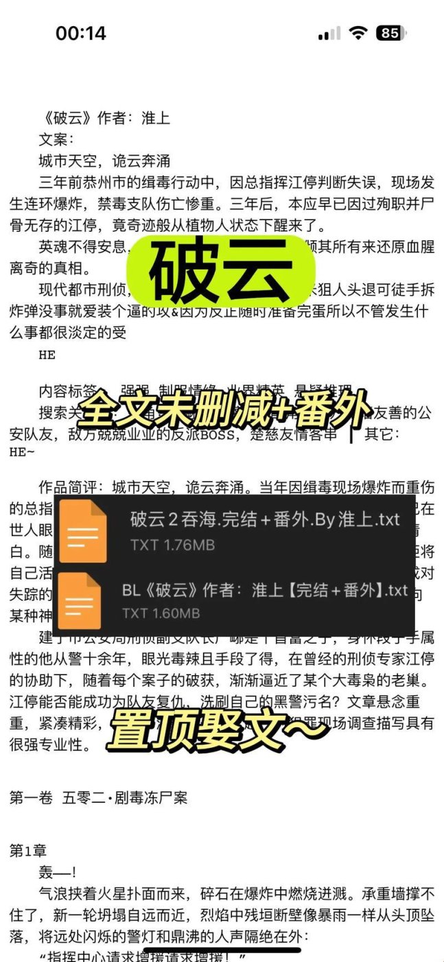 如何从争议小说中挖掘隐藏玩法？空空破云奴作品全解析指南