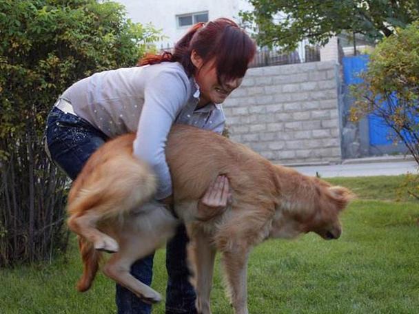 如何通过宠物智能设备实现情感重启？中年离异女性的新型共生关系图谱