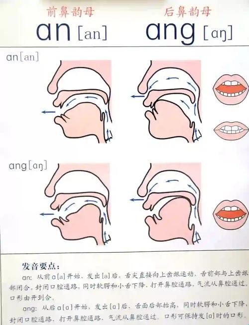 学术基建底层革命：zotero语音资产规范化的三次元爆破