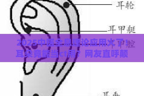2025中医全息理论应用火了！耳朵竟能当ct用？网友直呼颠覆认知