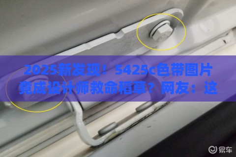 2025新发现！5425c色带图片竟成设计师救命稻草？网友：这波真香！
