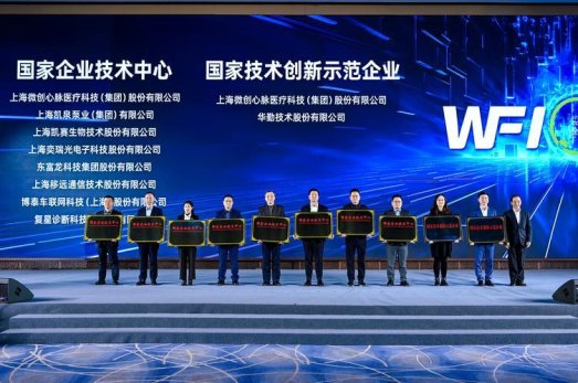 上海科技巨头的崛起：谁在引领未来？