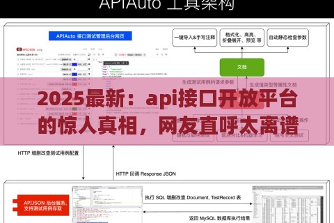 2025最新：api接口开放平台的惊人真相，网友直呼太离谱！