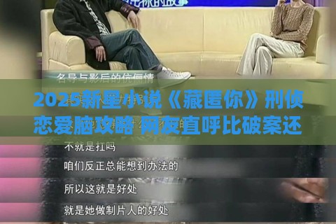 2025新星小说《藏匿你》刑侦恋爱脑攻略 网友直呼比破案还烧脑