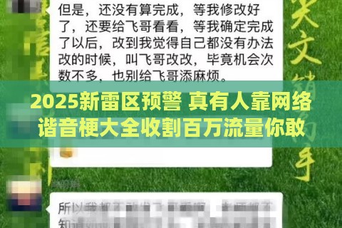 2025新雷区预警 真有人靠网络谐音梗大全收割百万流量你敢信吗