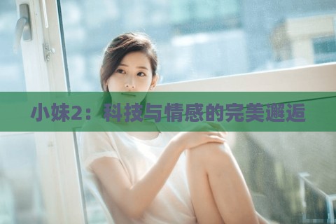 小妹2：科技与情感的完美邂逅