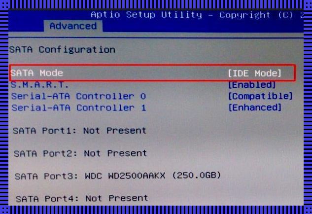“妈呀,BIOS改完变密码锁,开机成猜谜游戏啦!”