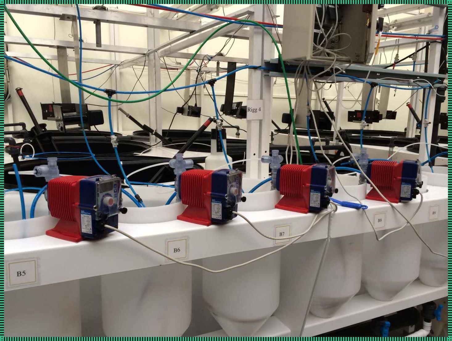 “pH液体奇遇记:网友热议下的科技新宠”