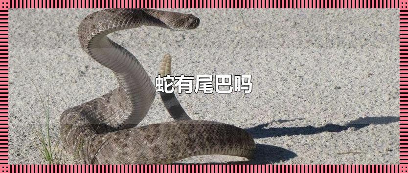 科技界的“蛇尾奇遇”:探秘笔趣阁的惊世奇观