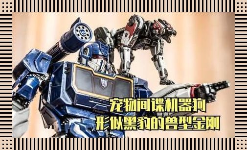 “ZOOMSERVO兽狗”邪术神技,谁用谁“惊喜”