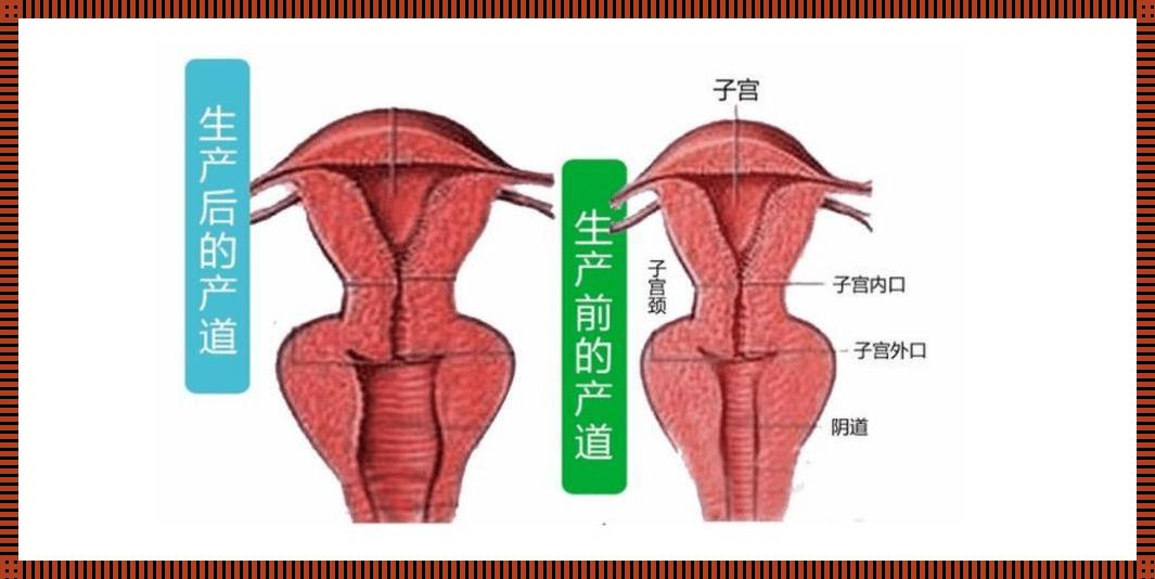 “松弛之谜”:科技视角下的神奇创造