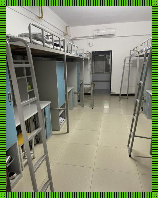 "506寝室的灯灭,小莲灯后的潮流竟是这样?"