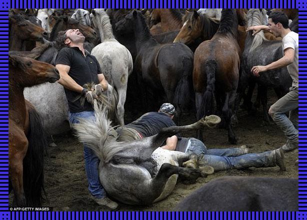 科技江湖：当CSD遇上人马大战，全网嗨翻天！