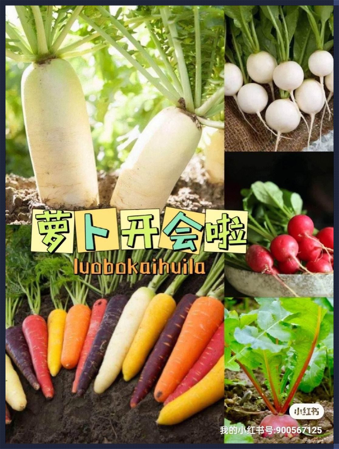 "拔萝卜"变身"降黄9.1",网友热议:科技界的这场大戏,笑中带泪