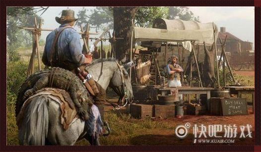 《狂野大妈的镖客传奇:网海翻波的文字风暴》