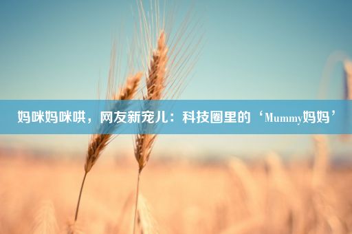 妈咪妈咪哄,网友新宠儿:科技圈里的‘Mummy妈妈’