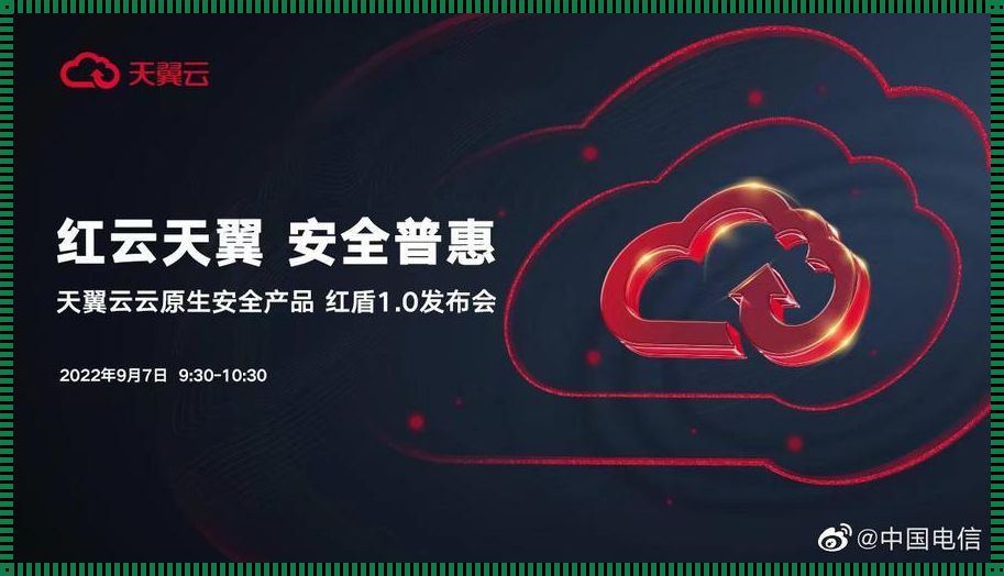 《天翼云网络安全:自嘲者的窥探》