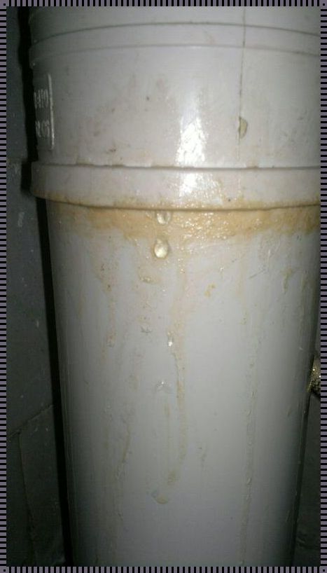 “水管对丝漏滴,科技界竟疯狂追捧?”