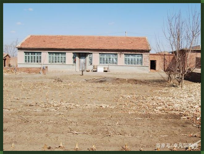 农村家房子关系大乱炖的原因:乡土中国的人情纠葛