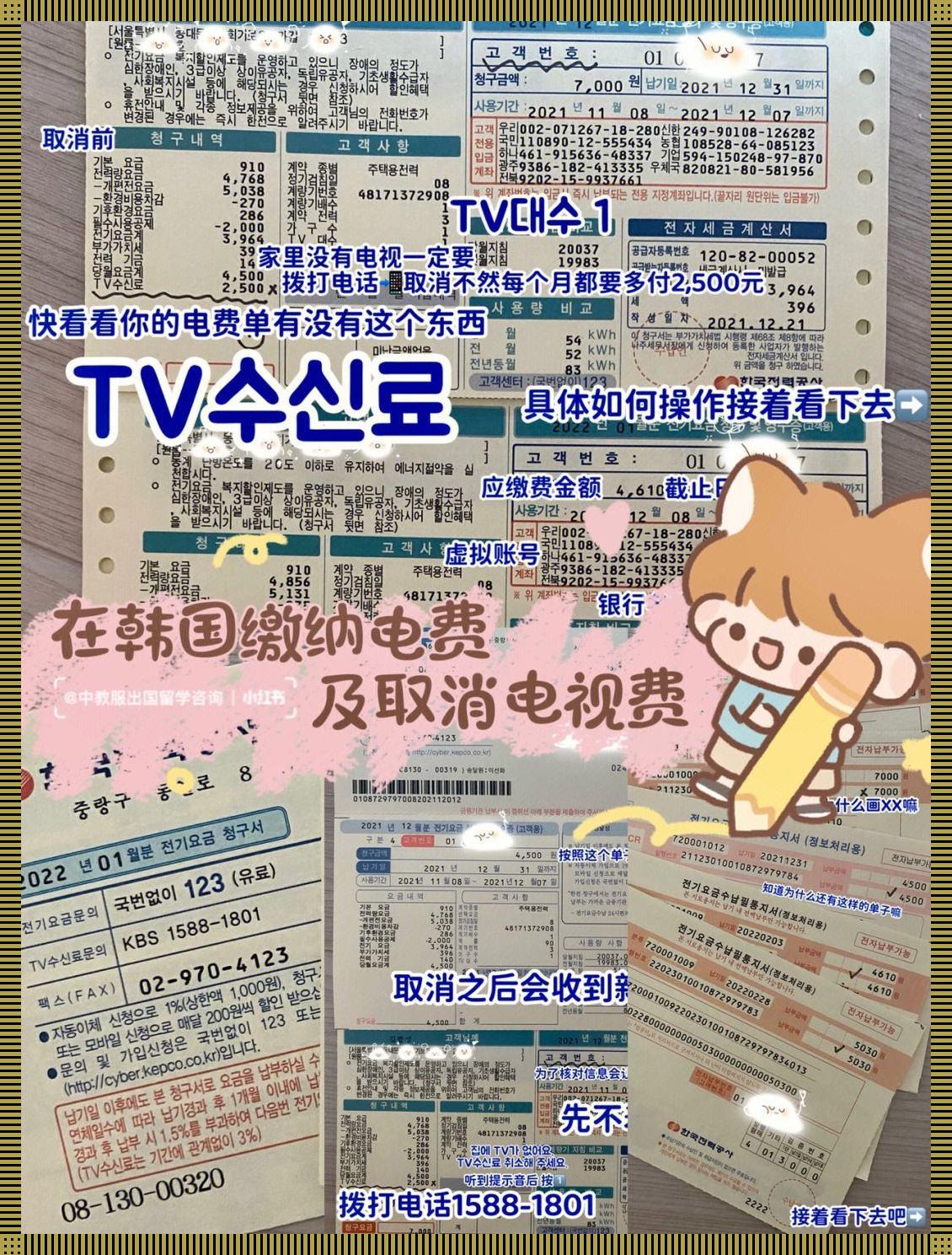 “韩潮电费”狂想曲:创新热潮下的嬉笑怒骂