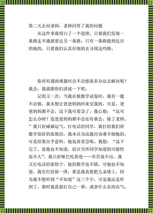 “数学迷宫：智勇闯关，独缺匠心？”