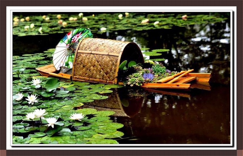 《科技潮玩:老人船上“弄雨荷” VS 普通版,笑掉大牙的惊喜!》