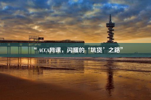“ ACCA网课,闪耀的‘坑货’之路”