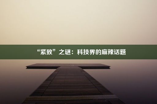 “紧致”之谜:科技界的麻辣话题