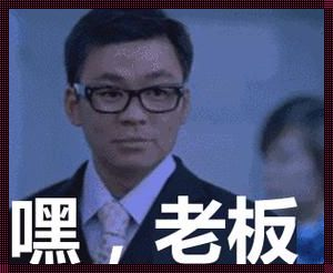 《科技圈“匪徒”老板:顽童掌门人的恶作剧坊》