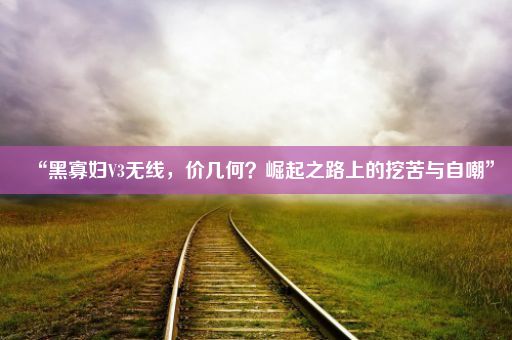 “黑寡妇V3无线,价几何?崛起之路上的挖苦与自嘲”