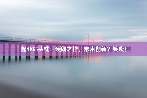 起亚K5头枕:硬朗之作,未来创新?笑谈!